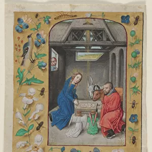 Artists Collection: Master of the First Prayerbook of Maximillian
