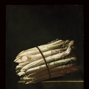 Still Life of Asparagus, 1699 (oil on paper laid on panel)