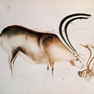 Male and female deer, Magdalenian school, c. 13000 BC (cave painting)