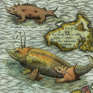 Detail of A Map of the Sea (Carta marina) by Olaus Magnus (1490-1557), 1572 (engraving)