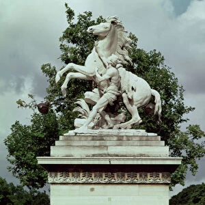 One of the two Marly Horses, 1739-45 (marble)