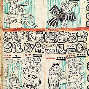 Detail from a Mayan codex (vellum)