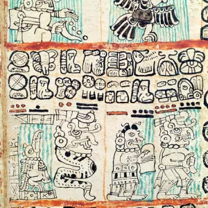 Detail from a Mayan codex (vellum)