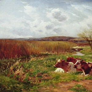 In the Meadow (oil on canvas)