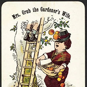 Mrs Grub The Gardeners Wife (colour litho)