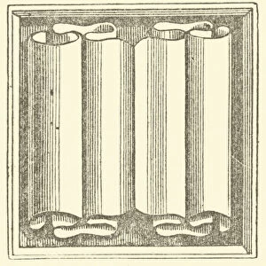 Napkin Pattern (engraving)