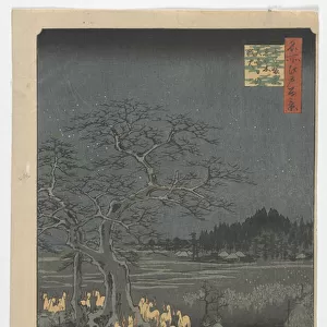 New Year's Eve Foxfires at the Changing Tree, Edo period, 1857 (colour woodblock print)