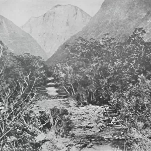 New Zealand, 1890s: Diamond Gully and the Yellow Mountain (b/w photo)