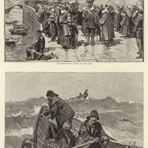 The Newfoundland Cod Fishery (engraving)