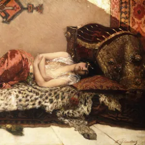 The Odalisque, 1882 (oil on canvas)