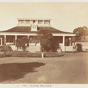 Rallidae Photographic Print Collection: Hawaiian Rail