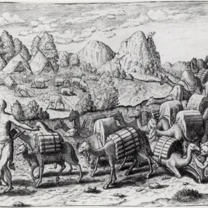 Pack Train of Llamas Laden with Silver from Potosi Mines of Peru, engraved by Theodore de Bry