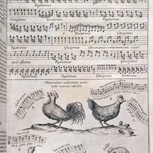 Page from Musurgia (1650)