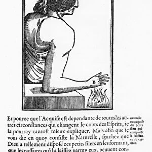 Page from Traite de l Homme, by Rene Descartes, 1664 (engraving)