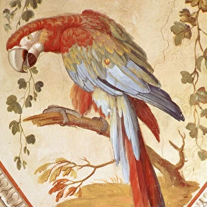 A Parrot (mural)