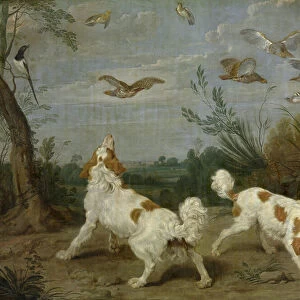 Partridge Hunt (oil on canvas)