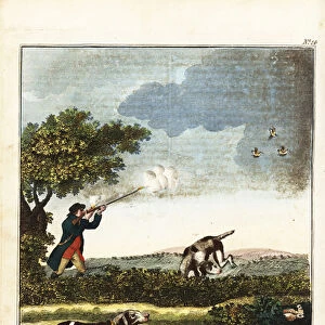 Partridge shooting, 18th century. 1792 (engraving)