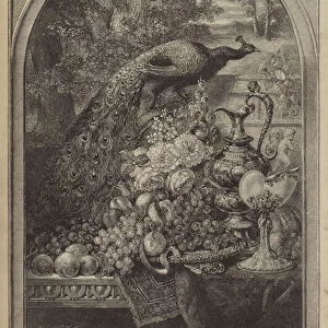 The Peacock at Home (engraving)