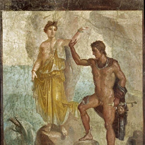 Persee liberant Andromede. Fresque 98x120cm. Provenant de la Maison des Dioscures