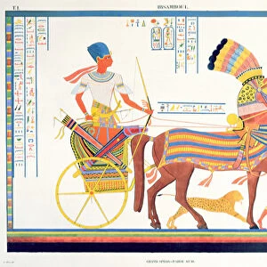 Pharaoh in a Chariot, 1835-45 (colour litho)