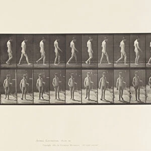 Plate 551. Epilepsy; Walking, 1885 (collotype on paper)
