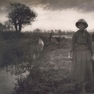 Poling the Marsh Hay, Life and Landscape on the Norfolk Broads, 1886 (photo)
