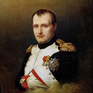 Portrait of Napoleon I (1769-1821) 1812 (oil on canvas)