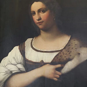 Portrait of a woman, or Fornarina (oil on panel)