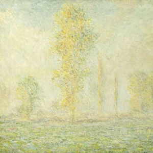 The Prairie in Giverny; La Prairie a Giverny, 1888 (oil on canvas)
