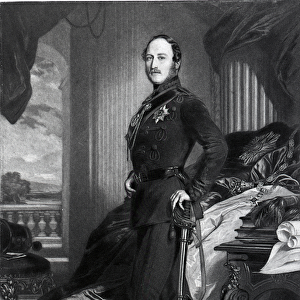 Prince Albert, after the painting of 1859 (engraving)