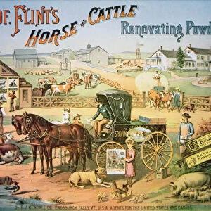 Professor Flints Horse & Cattle Renovating Powders, c. 1900 (colour litho)