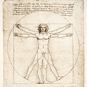 The Proportions of the human figure (after Vitruvius), c. 1492 (facsimile)