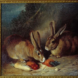 Rabbits. Painting by Rosa Bonheur (1822-1899), 1840. Bordeaux, Musee Des Beaux Arts