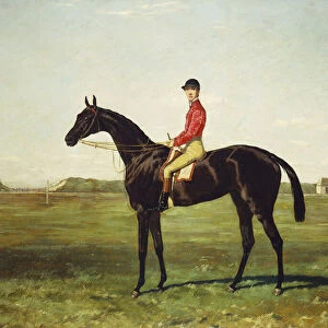 A Racehorse with Jockey Up on the Racetrack at Newmarket (oil on canvas)