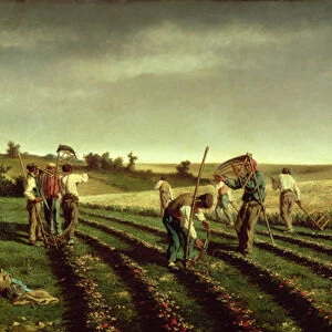 Reaping Sainfoin in Chambaudouin, 1882 (oil on canvas)