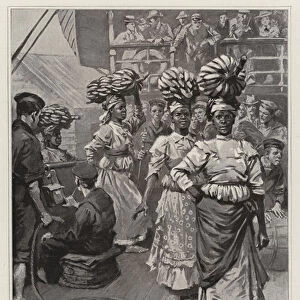 The Revival of Trade with Jamaica, shipping Bananas 1901 (litho)