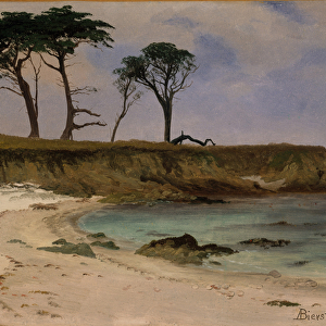 Sea Cove, c. 1880-90 (oil on wood)