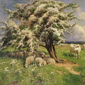 Sheep and cattle in a landscape (oil on canvas)