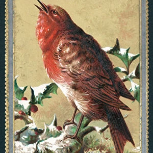 Singing Robin, Christmas Card (chromolitho)