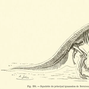 Squelette du principal iguanodon de Bernissart (engraving)