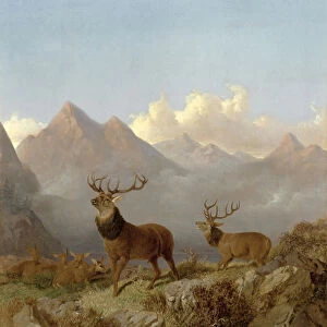 Detail of Stags And Hinds In A Highland Landscape, 1864 (oil on canvas)