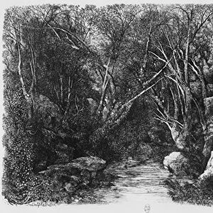 The Stream through the trees, 1880 (etching)