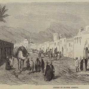 Street in Mocha, Arabia (engraving)