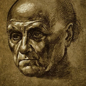 Study of a male face; drawing by Leonardo da Vinci. The Louvre, Paris