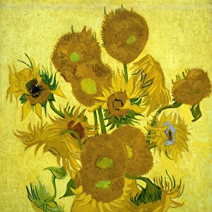 Sunflowers, 1889 (oil on canvas)