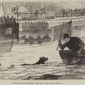 Swimming-Match between a Dog and a Man (engraving)