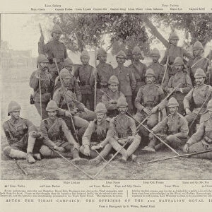 After the Tirah Campaign, the Officers of the 2nd Battalion Royal Irish Regiment (b / w photo)