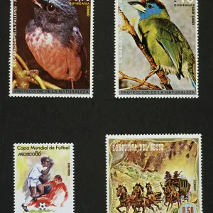 Equatorial Guinea Fridge Magnet Collection: Related Images
