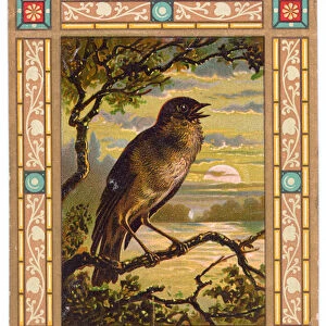 Victorian greeting card of a bird perched on a tree on a moonlit night, c