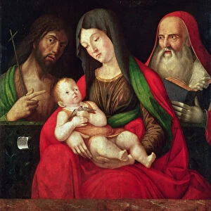 Virgin and Child with St. John the Baptist and St. Jerome (panel)